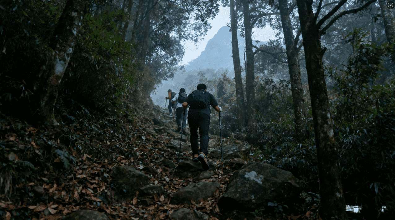 全面推荐的特推安卓加速器应用介绍